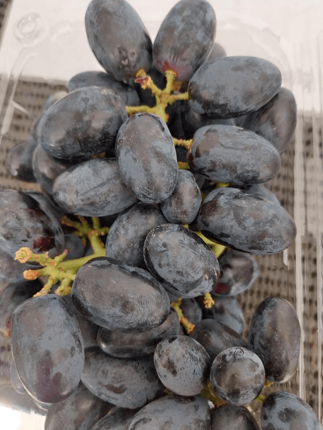 Grape red 500g