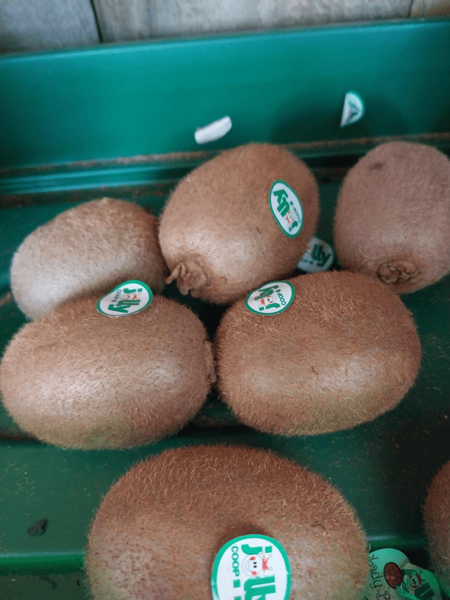 Kiwi 
