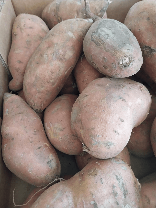 Sweet potato 1