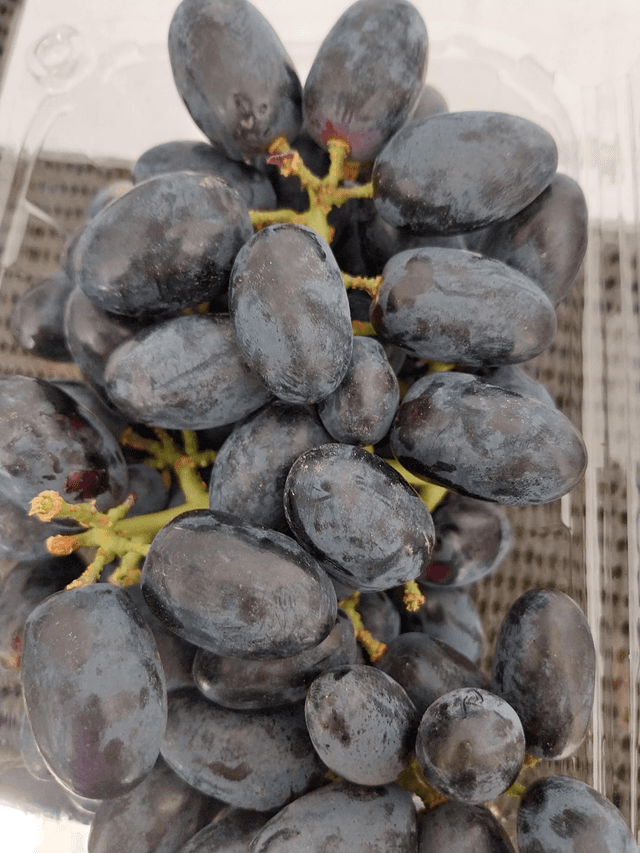 Grape red 500g