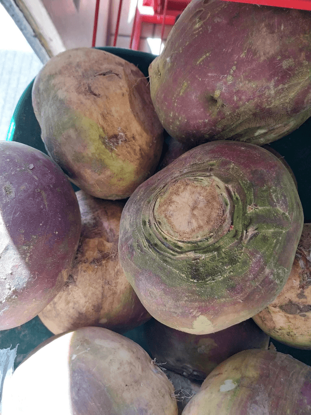 Turnip (avrg 500g)
