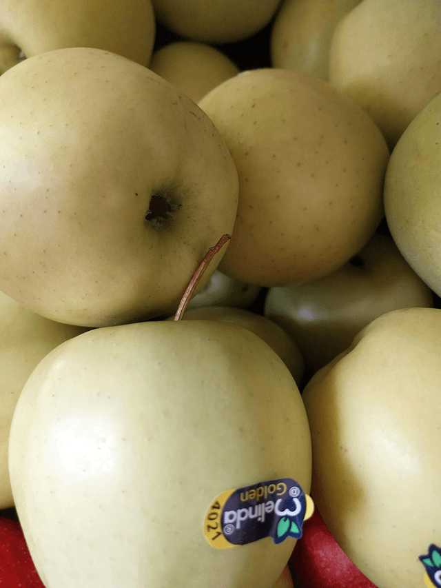 Golden Delicious 
