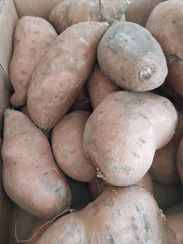 Sweet potato 1