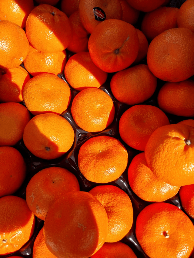 Satsuma 