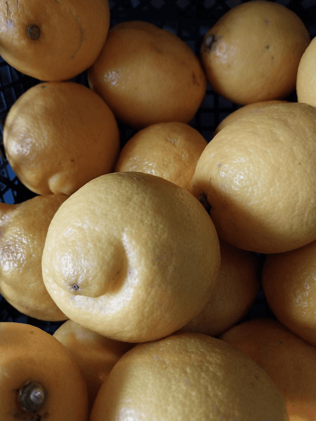 Lemon