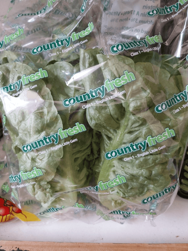 Gem lettuce twin
